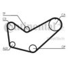 CONTITECH CT778 Timing Belt